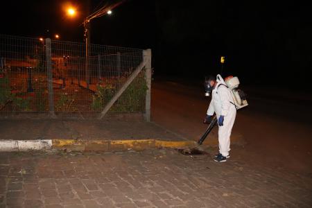 Município realiza trabalho de desinsetização para o combate de pragas urbanas